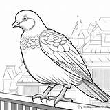 Pigeon Coloring Pages  Free & Printable sketch template