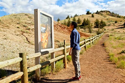 The Ultimate Guide to the Painted Hills Oregon » Local Adventurer » Travel Adventures in ...