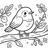 A Cute Robin Bird coloring Page  Download Print Or Color Online For Free sketch template