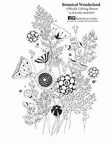 Botany Coloring Book Pages sketch template