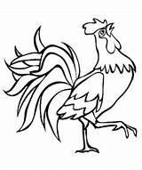 Rooster Coloring Pages Rock Painting sketch template