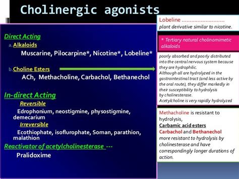 Cholinergic agonists