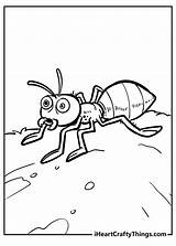 Cute Ant Coloring Page sketch template