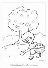 Free Picking Apples Coloring Page  Printables Kidadl sketch template