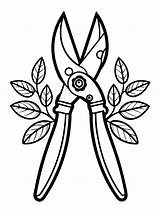 Pruning Shears Secateurs coloring Book Pages For Children And Adults  sketch template