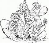Free Printable Cactus Coloring Pages For Kids sketch template