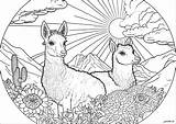 Lama Flowers And Sun  Llama Coloring Pages For Adults sketch template