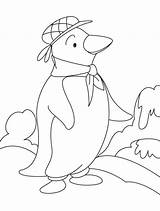 Adelie Penguin Coloring Page  Nation sketch template