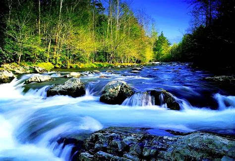 Download "Blue River - A Picture of Serenity and Nature's Beauty" Wallpaper | Wallpapers.com