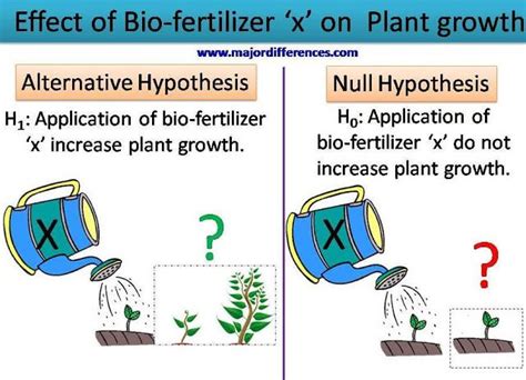 5 Differences between Null and Alternative Hypothesis with example | Hypothesis examples ...