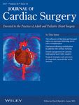 Surgical strategies and outcomes of congenital supravalvular aortic ...