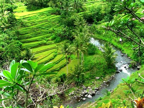 Gambar Pemandangan Alam Pedesaan Indonesia