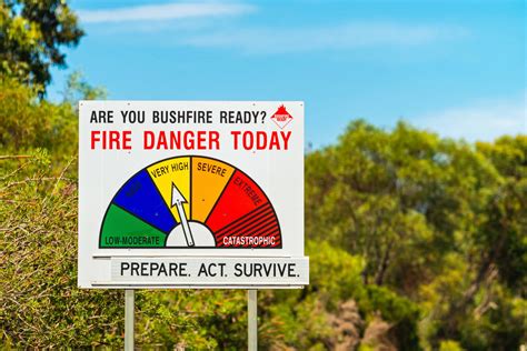 How to prepare your property for fire season | Australian Tree Services