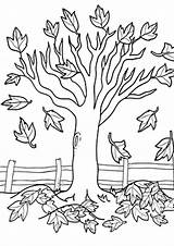 Coloring Pages  Tree In Autumn Page sketch template