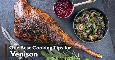 Our Best Cooking Tips for Venison Recipes from Soap Mesa Outfitters