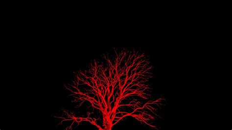 Red Tree 1920X1080 Wallpapers - Top Free Red Tree 1920X1080 Backgrounds ...