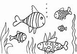Fish Coloring Page 2016 Printable  Activity Shelter sketch template
