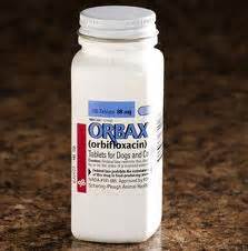 Orbifloxacin Dosage, Safety, Side Effects, Overdose