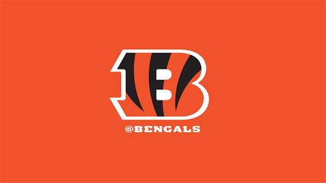 Bengals Wallpapers - Top Free Bengals Backgrounds - WallpaperAccess