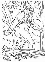 Bigfoot Coloring  Disegni da colorare Pagine Per sketch template