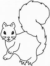 Free Printable Squirrel Coloring Pages For Kids sketch template
