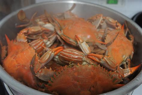 Steamed Blue Crab Recipe -Crabbing HQ