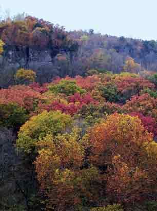 The bedrock beauty of Whitewater Canyon - Iowa Natural Heritage Foundation