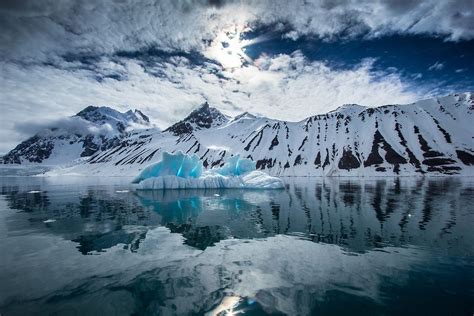 Plant Life in Antarctica - WorldAtlas