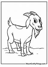 Meat Goat Coloring Pages sketch template