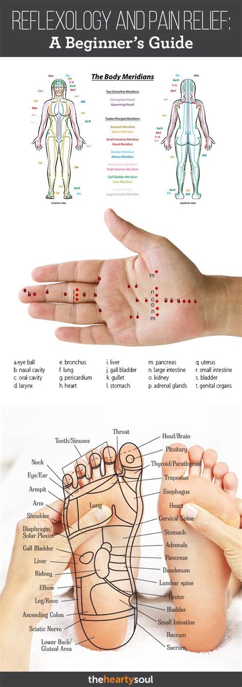 Pin on Reflexology