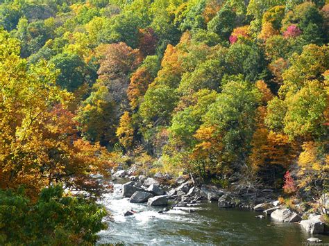 MLeWallpapers.com - Fall Color at Ohiopyle State Park