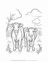 Charming Farm Animal Coloring Page Featuring Two Cows In A Field sketch template
