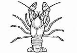 Mardi Gras Crawfish Coloring Page Coloring Pages sketch template