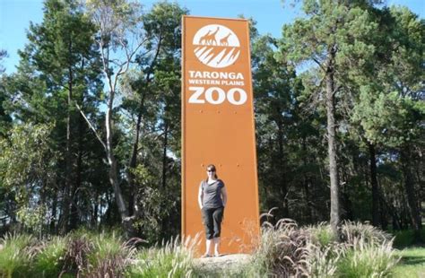 Dubbo Zoo Experience | Ultimate Guide & Zoofari Stay