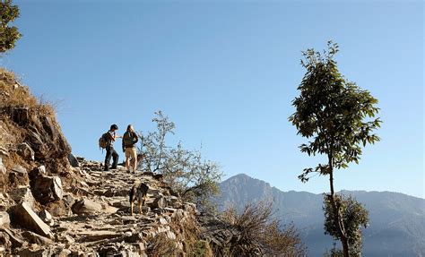 Tourists Trekking In The Himalayas; … – License image – 13880578 lookphotos