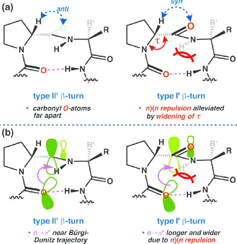 Some differences between type II′ and I′ β-turns. (a) Widening of... | Download Scientific Diagram