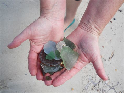 Free Images : hand, beach, sea, sand, ocean, leaf, environment, finger, biology, soil, rubbish ...