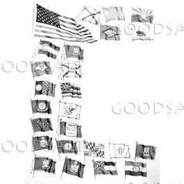 State and National Flags - GoodSalt