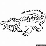 100% Free coloring Page Of Crocodile Color In This picture  sketch template