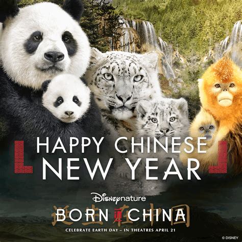 Go See Disneynature’s New Documentary, “Born In China” In Theaters Now – MEOKCA x Poster Posse