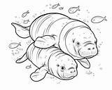 Manatee Coloring Pages sketch template