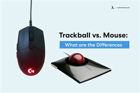 Trackball vs. Mouse: What Are The Differences?