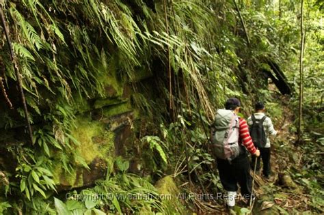 Maliau Basin, The Lost World of Sabah, Borneo, Malaysia