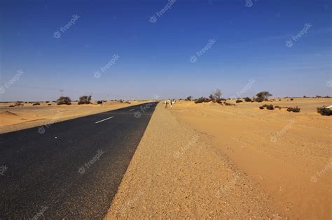 Premium Photo | Sahara desert in sudan, africa