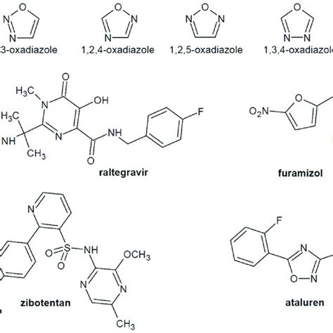 1,3,4-oxadiazole hybrids of nalidixic acid with antibacterial activity. | Download Scientific ...