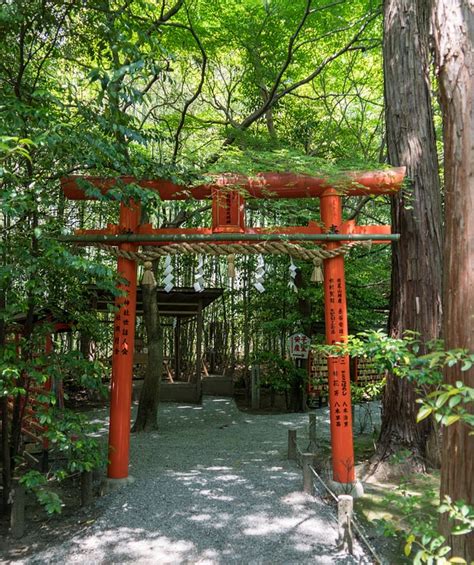 Japan Arashiyama Bambuswald · Kostenloses Foto auf Pixabay