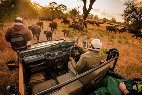 Sabi Sabi Game Reserve: Sabi Sands Lodges | Kruger National Park