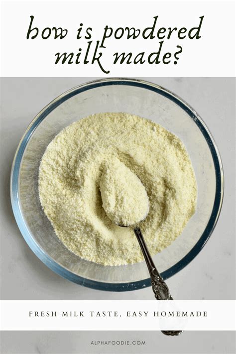 How To Make Powdered Milk At Home - Alphafoodie