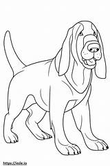 Basset Hound Friendly coloring Page sketch template