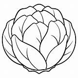 Brussels sprouts Vegetable Outline coloring Book Page Line Art Drawing  sketch template